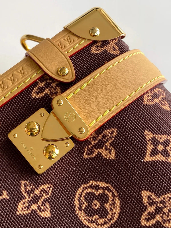 Louis Vuitton 2026 Side Trunk MM Bag Brown Tan Monogram Canvas Cowhide