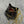 Prada Logo-Plaque Mini Bag Black Patent Leather GHW