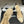 CC 26s Slingback 95 Beige Mesh Fabric Sheepskin 649440