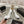 CC 26s High Heels Pump 85 White Black Sheepskin 627008
