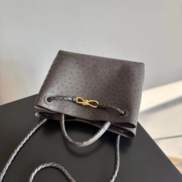 Bottega Veneta 2026 Andiamo Bag Dark Brown Ostrich Leather
