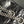 CC 2026 Classic 2.55 Flap Bag Black Aged Lambskin Silver Hardware