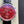 IWC Portuguese 40mm Red Dial Steel Case Black Crocodile Leather