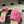 CC 26s Camellia Slippers Beige Pink Rope Smooth Leather 649398