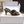 YSL 26ss High-Heeled Mules 75 Leopard Print Fabric Leather 660664