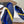 Celine 26 Flat Sneaker Dark Blue Yellow Canvas Suede 624713