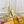 Louis Vuitton 2025 Shake One-Strap Platform Sandal Gold Calfskin