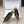 YSL 26ss Flat Slingback Burgundy Glossy Leather 654710