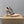 CL 26SS High Heel Pump 100 Beige Patent Leather 613872