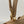 Balenciaga Mini Bag 22 Rich Brown Calfskin Gold Hardware