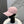 Balen Baseball Cap Cotton 323769