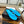 CC 2026 Kiss's Flipflops Sheepskin Velvet 802295