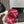 BASEBALL HAT IN MAROON JEAN 672989