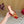 VALENTINO 25S FLAT SLINGBACKS IN RED VELVET WITH GOLD HARDWARE