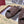 GG SLIDES IN DARK BROWN SUEDE WITH EMBOSSED LOGO STYLE 8
