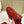 PRA 2026S Flats Mule Dark Red Patent Leather 657681