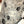 CHANEL 25S SCARF 140 CM IN CASHMERE AND SILK 943334