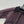 BURBERRY 25S JACKET 221