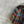 PRADA 25S FUR COAT 483