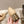 CC 26s Mary Jane Sandals 65 Beige Sheepskin 658473