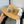 FLAT STRAW HAT BROWN FLOWER ATTACHMENT 673930