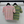 Fendi 25 Knitted Short-sleeved Top Green Pink Wool Cotton