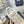 C'est Dior Sneaker 35mm Beige Cowhide