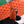 BELVEDERE MM BAG 28CM ORANGE CANVAS