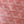 GOYA SECOND-HAND TOAST BAG 21CM PINK CANVAS