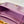 TEEN TRIOMPHE 11CM PURPLE CALFSKIN