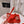 Toile Iconographe Slide Sandal Red Beige