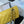 Medium Classic Flap Bag 23cm Yellow Caviar Silver Hardware