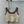Miu Beige Tank Top and Skirt